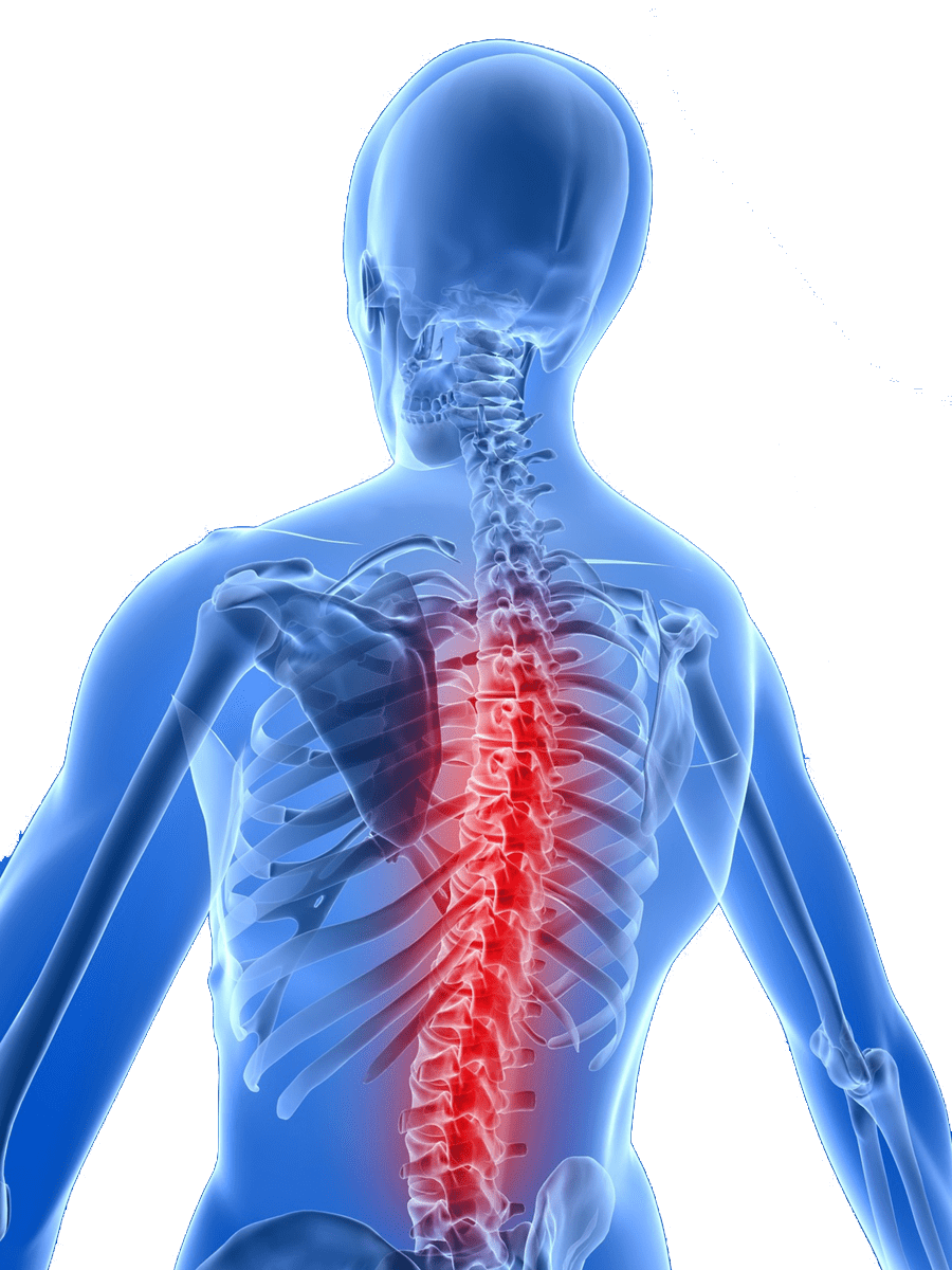 spinalcordpainspotgraphic Spine & Orthopedic Center