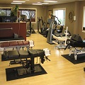 Physical Therapy services