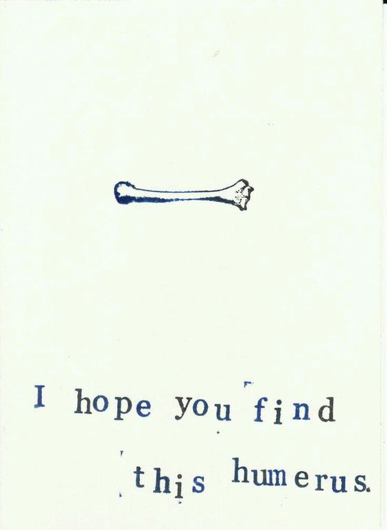 Tibia-honest-I'll-patella-when-1-find-something-femur-humerus