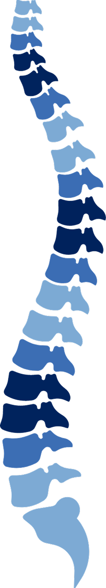 Spine Diagram