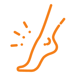 Ankle Icon