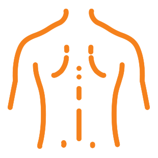 Back Icon