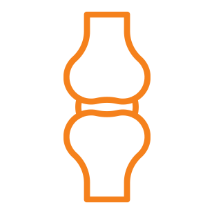Joint Replacement Icon