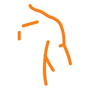 Shoulder