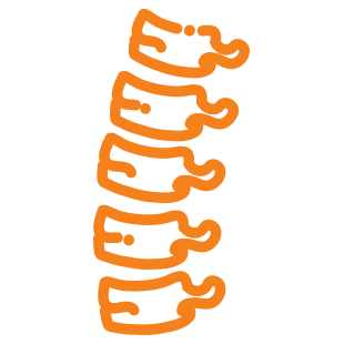 Spine